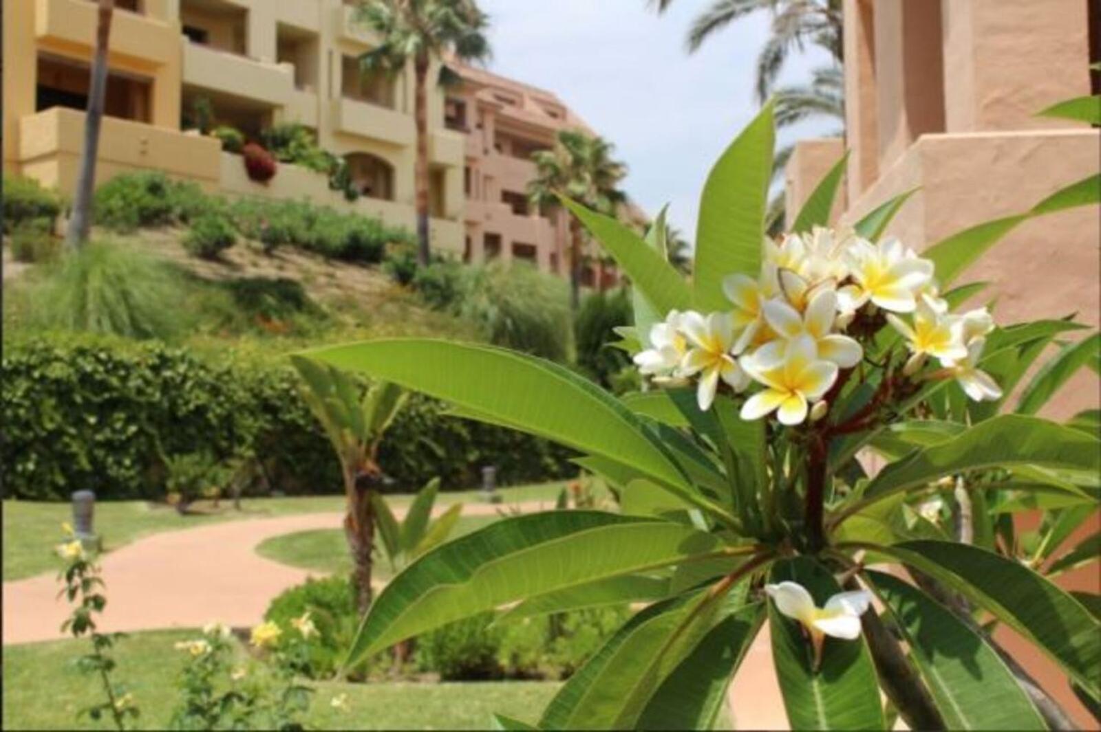 Beautiful Apartment Duquesa Village