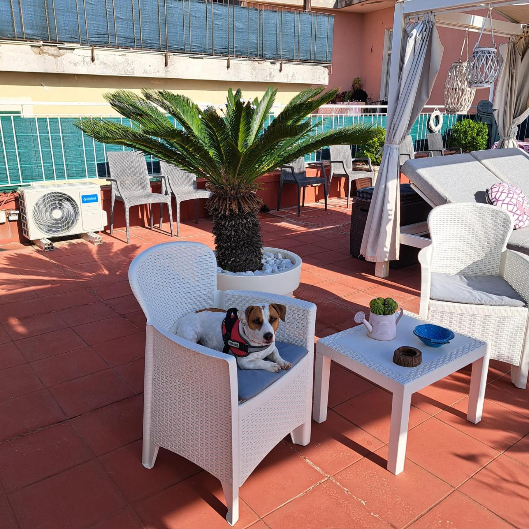 Terrazza Miracapri