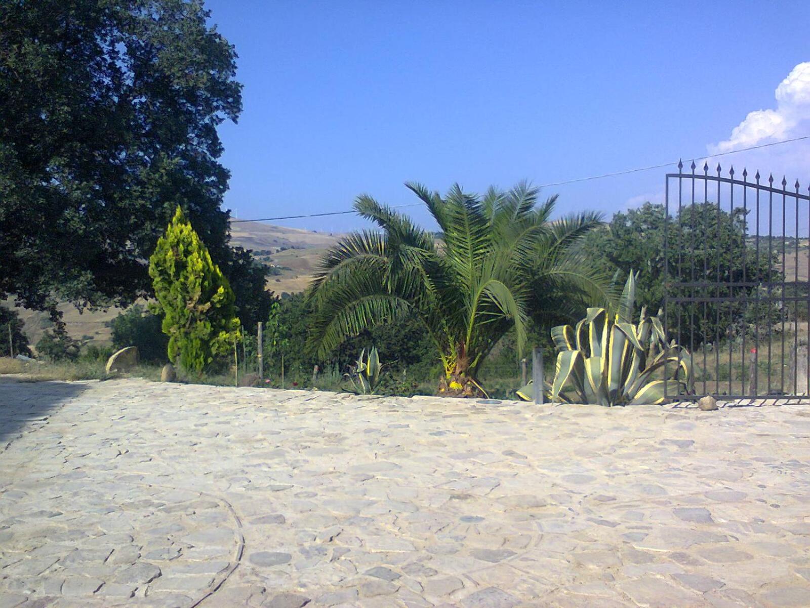 Photo 33
