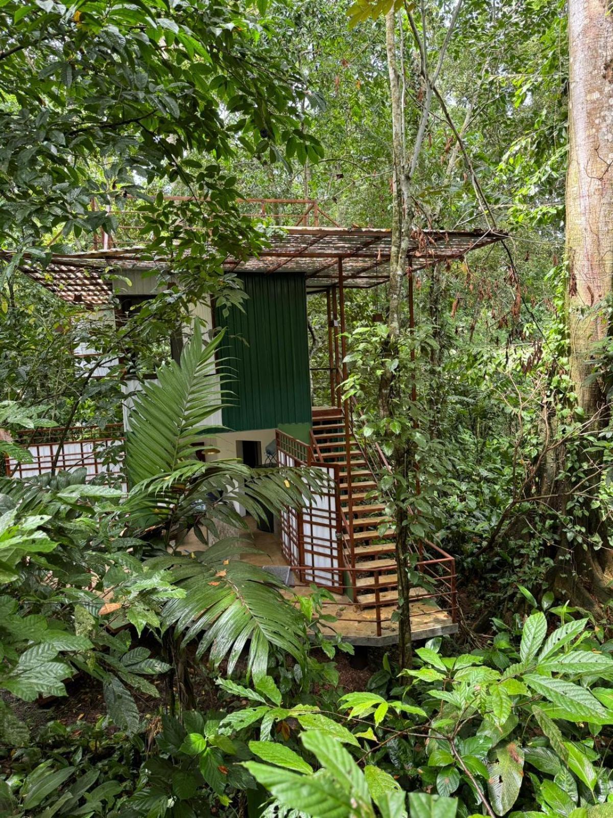 Peaceful Jungle Villa Conga - Pool & Parking for 2 persons