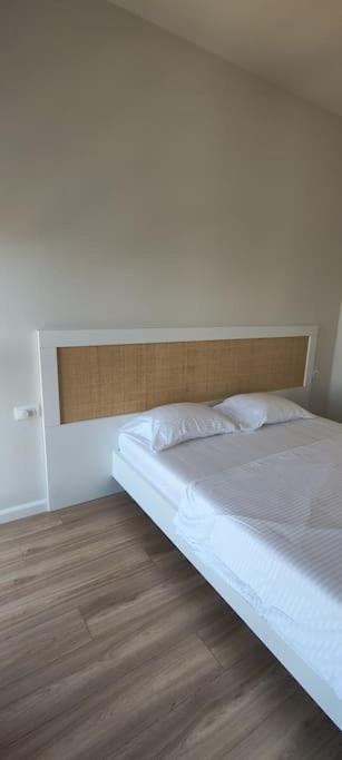 Design Apartment 360 degree View
