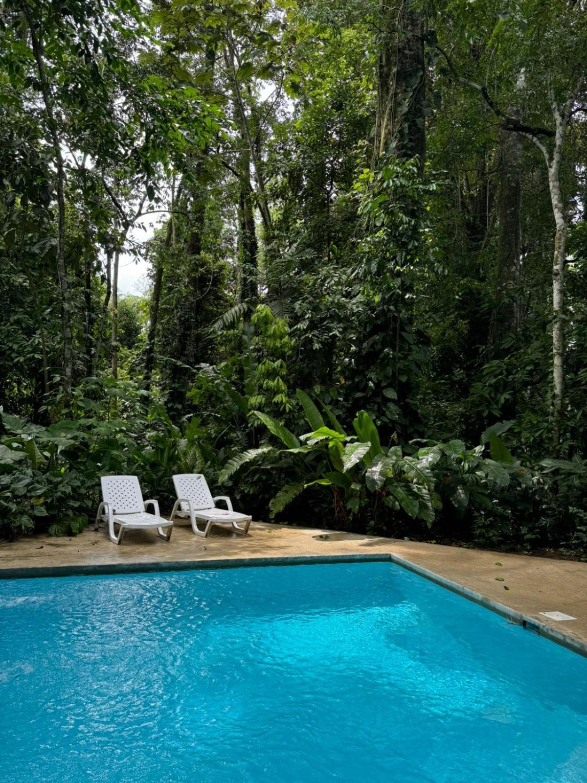 Peaceful Jungle Villa Conga - Pool & Parking for 2 persons