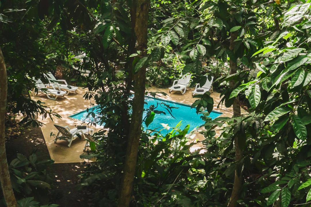 Peaceful Jungle Villa Conga - Pool & Parking for 2 persons