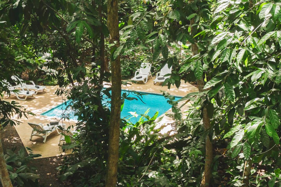 Peaceful Jungle Villa Conga - Pool & Parking for 2 persons