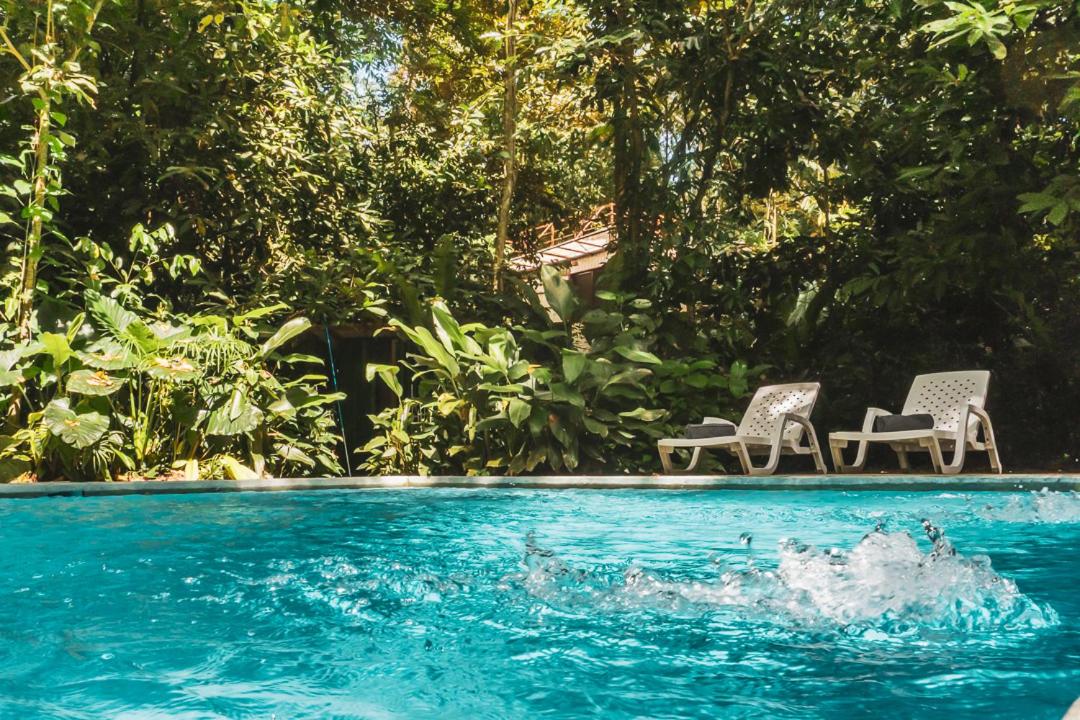 Peaceful Jungle Villa Conga - Pool & Parking for 2 persons