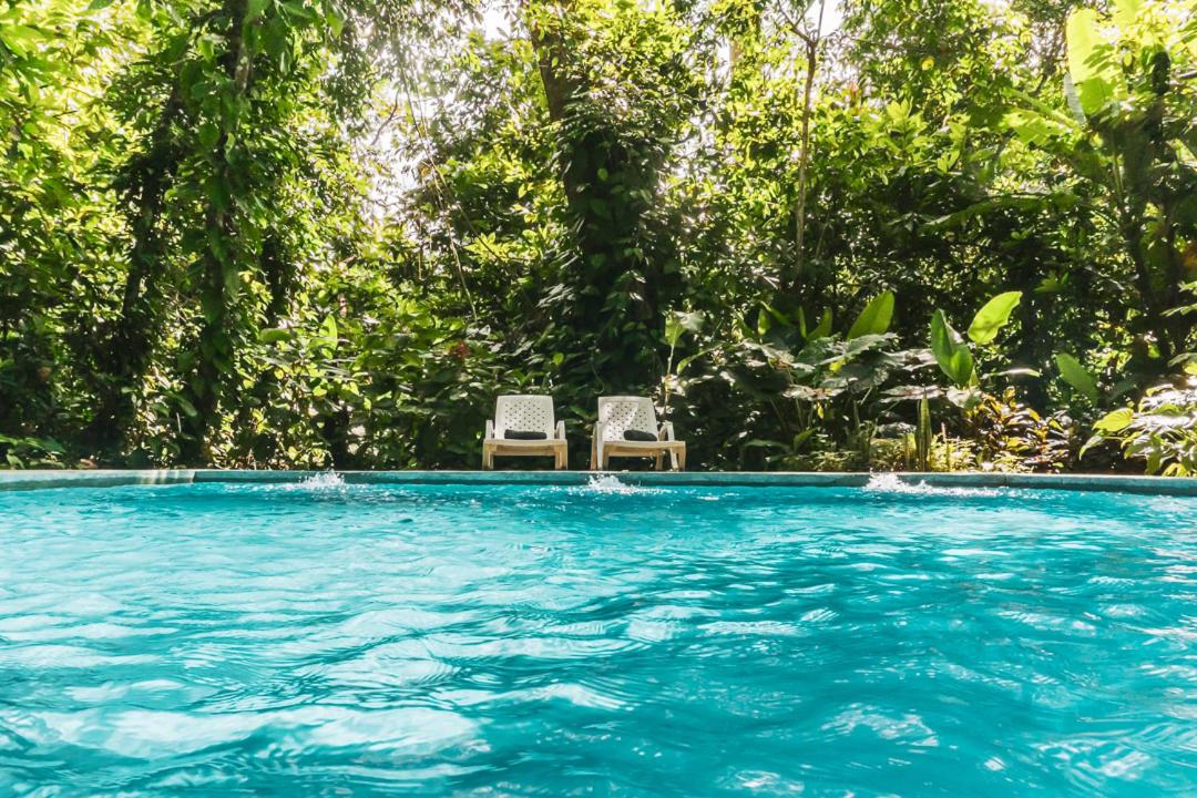 Peaceful Jungle Villa Conga - Pool & Parking for 2 persons