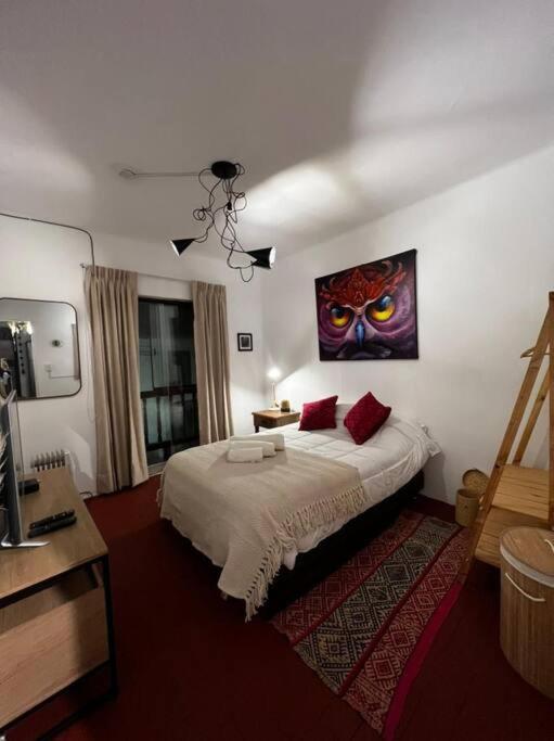 Casa Mágica de Arte - Boutique view 3
