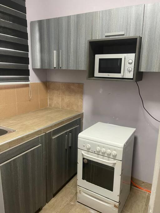 Cozy Apartment in Tema view 2