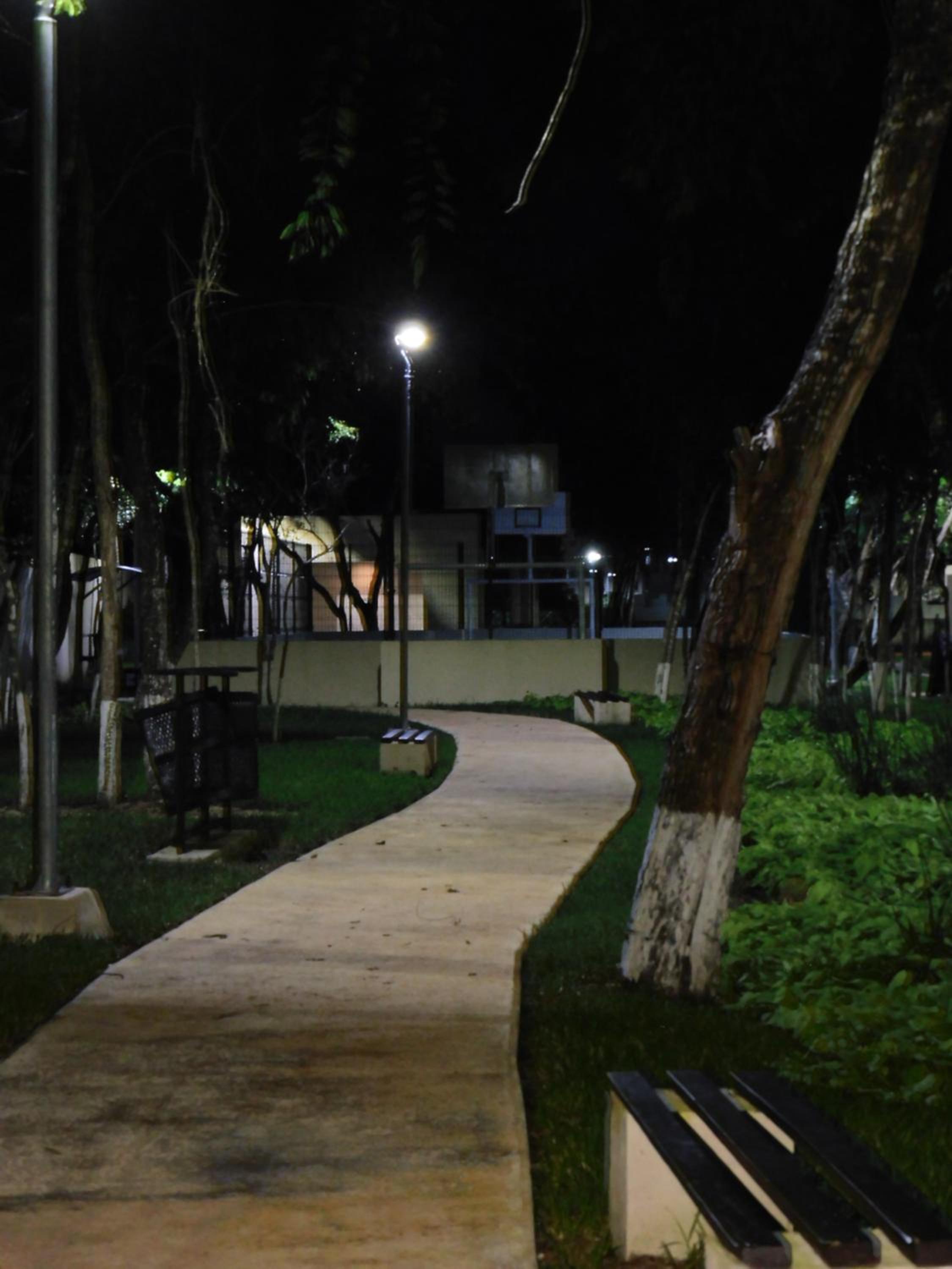 Photo 20