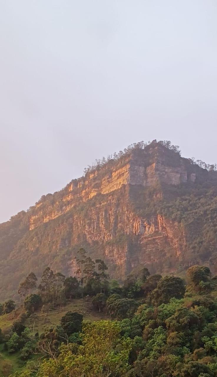 Glamping la cabaña