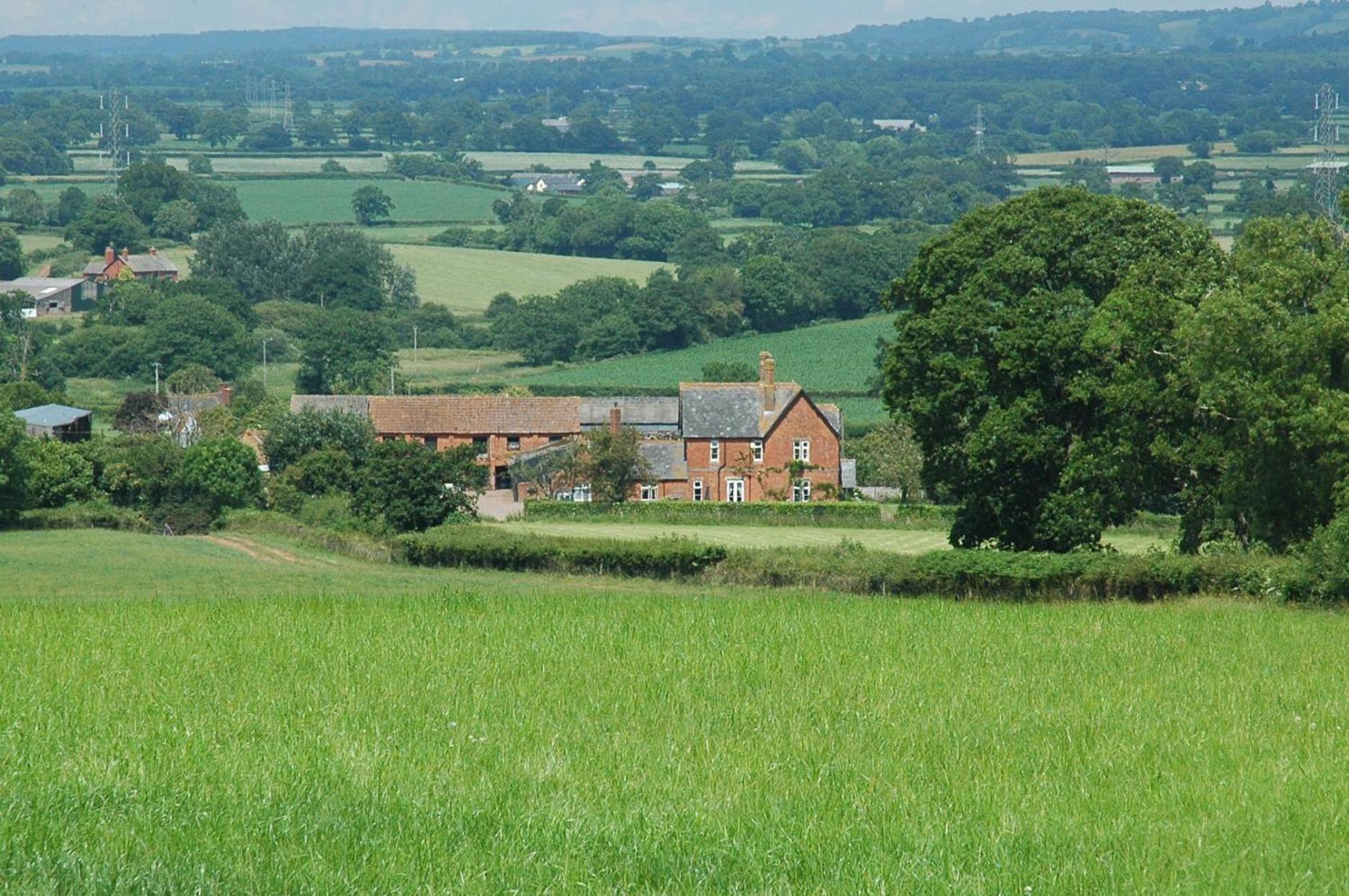 Newcourt Barton