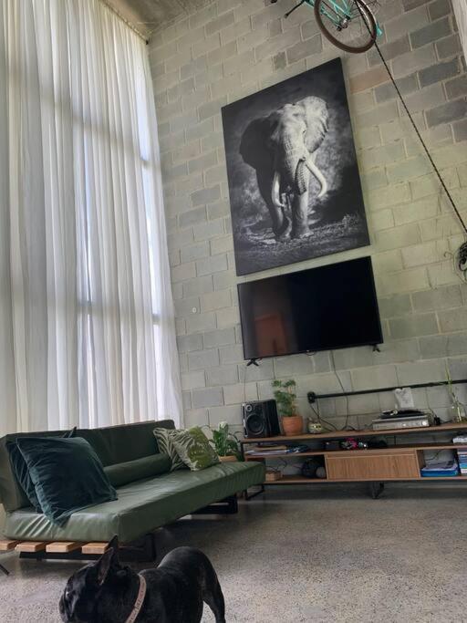 Loft Industrial