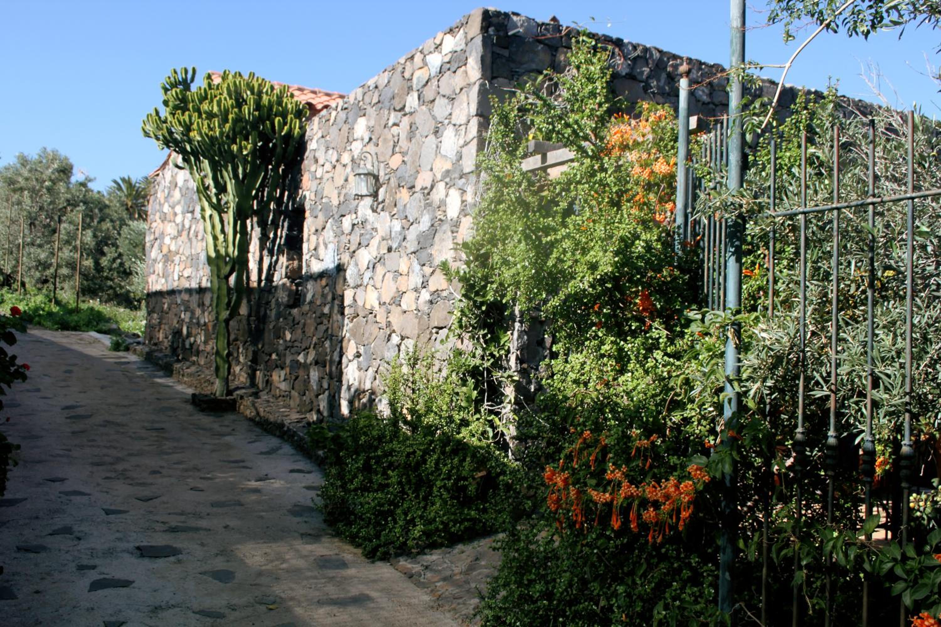 Photo 11