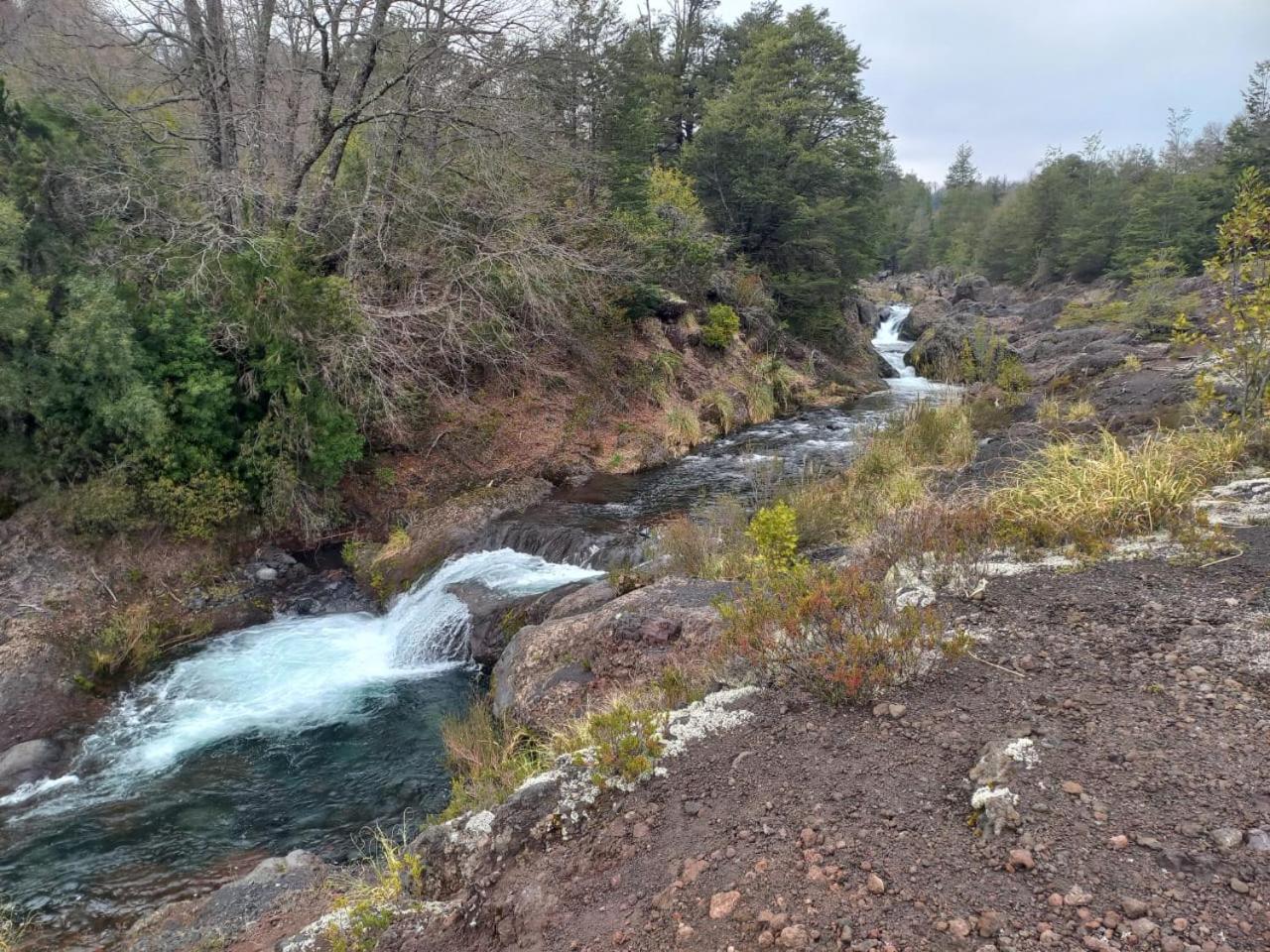 Cabaña Ruka trinar