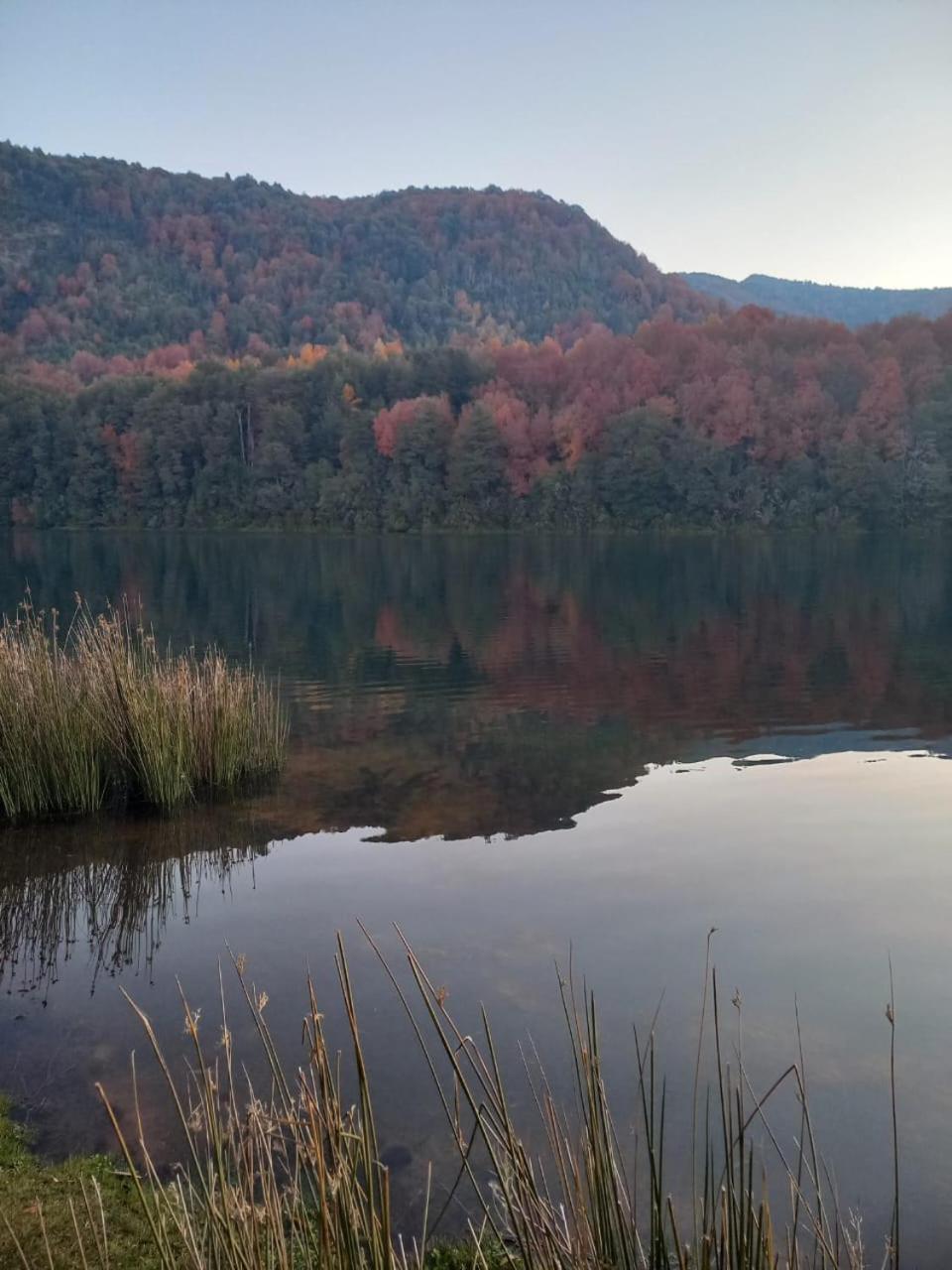 Cabaña Ruka trinar