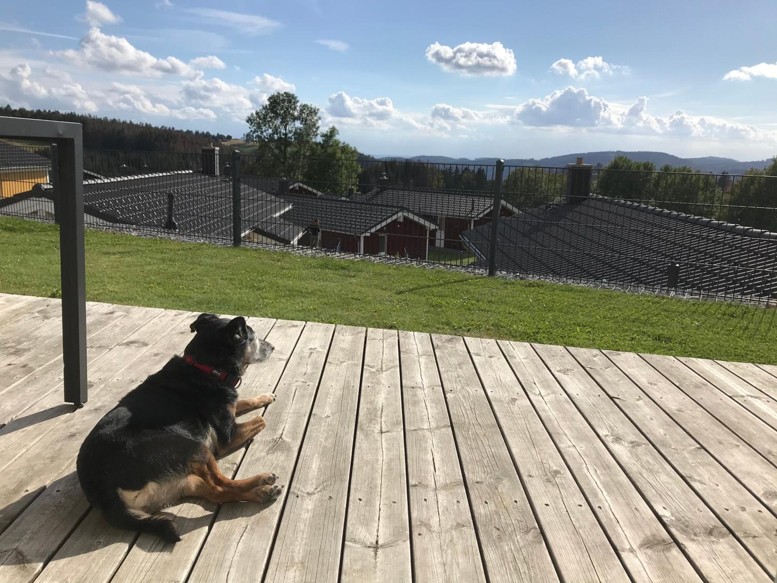 Ferienhaus BergZauber Lodge - Sankt Andreasberg im Harz