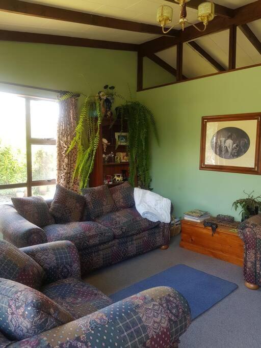 Home from Home in Ruby Bay view 5