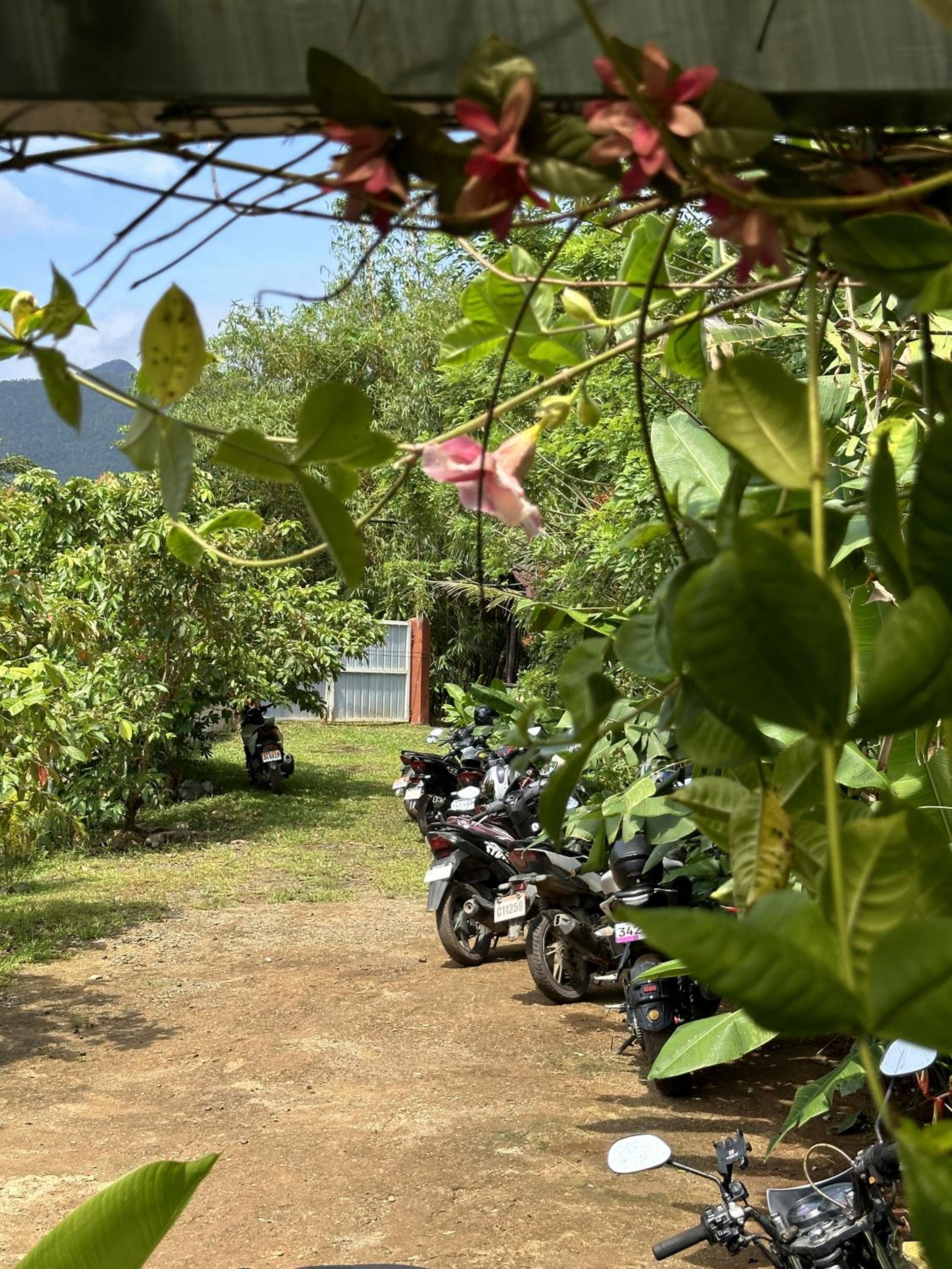 Banlaw Garden Resort