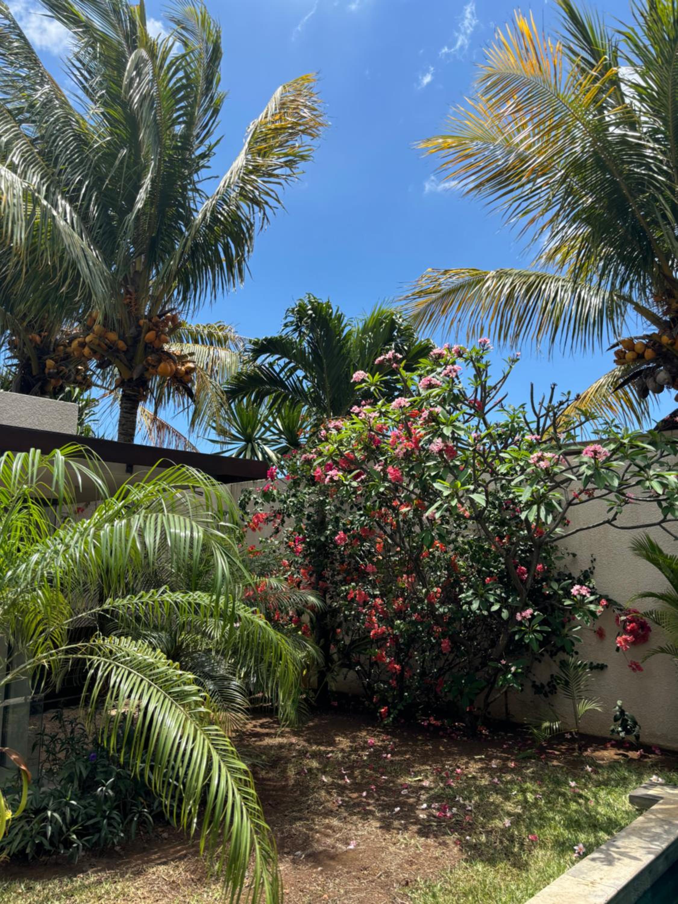 Photo 39