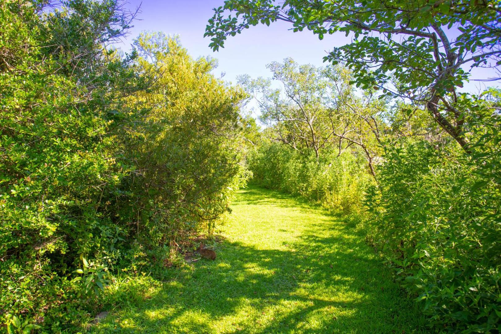 Photo 45