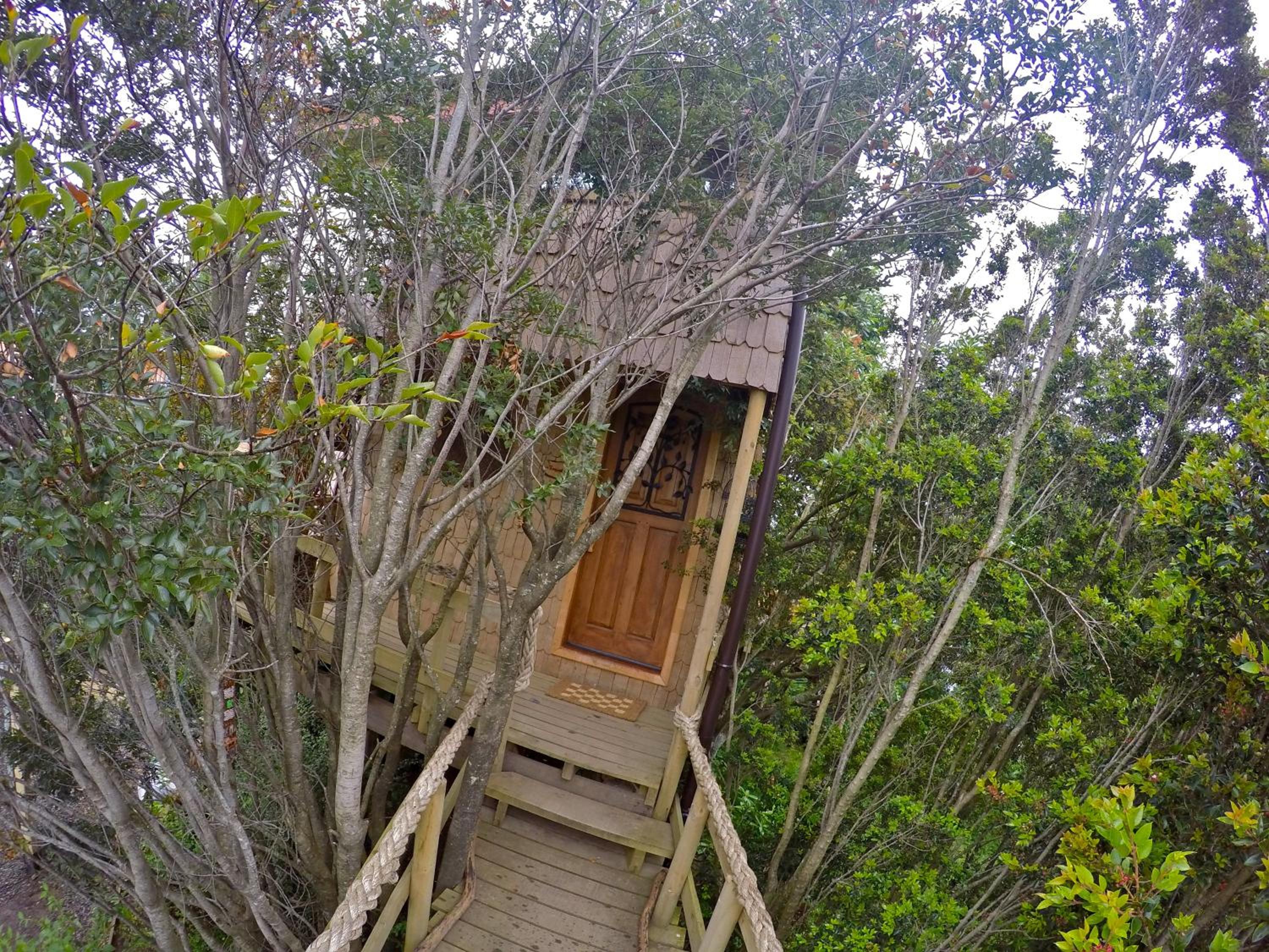 La Casa Del Árbol De Chiloé