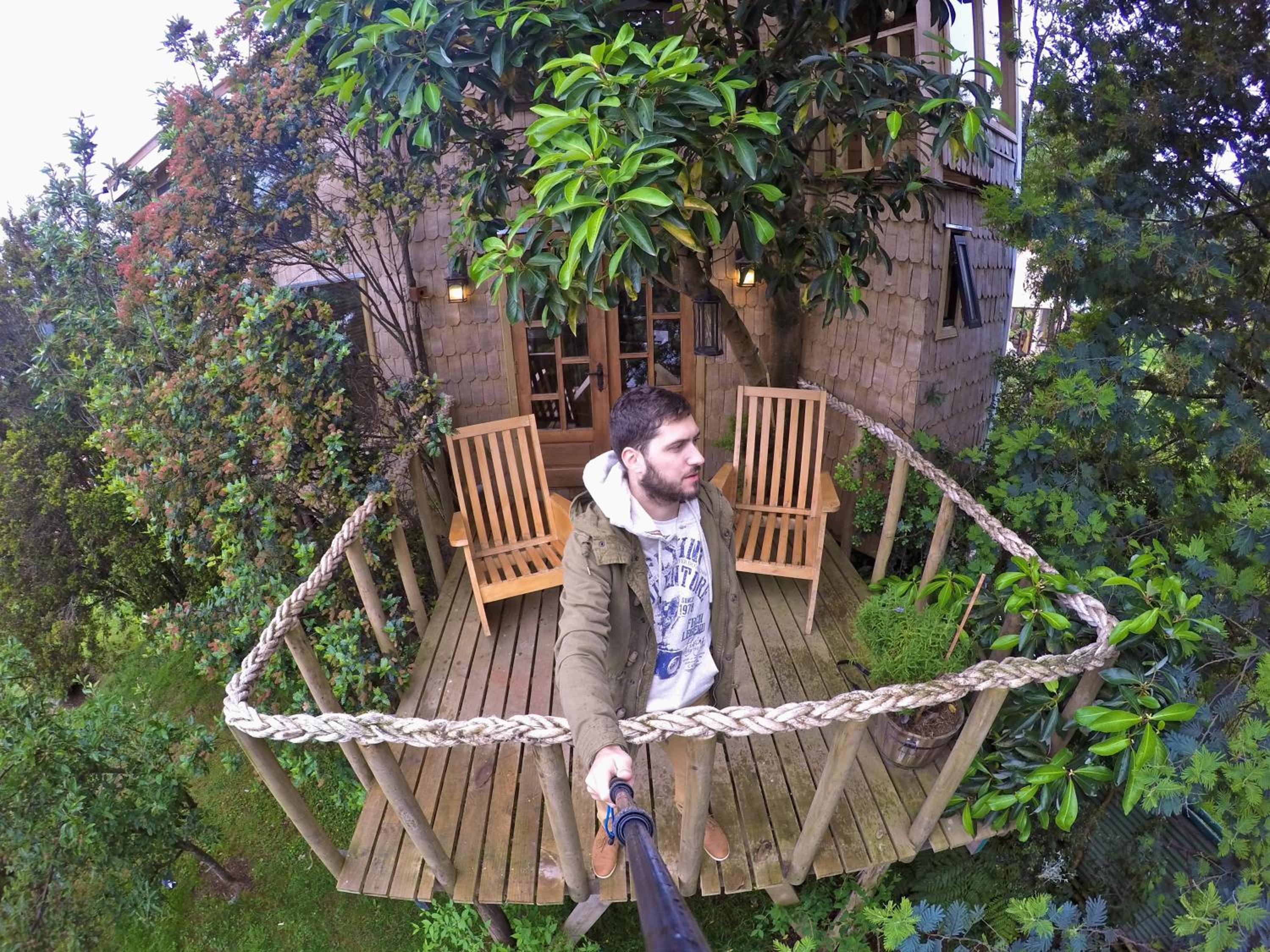 La Casa Del Árbol De Chiloé