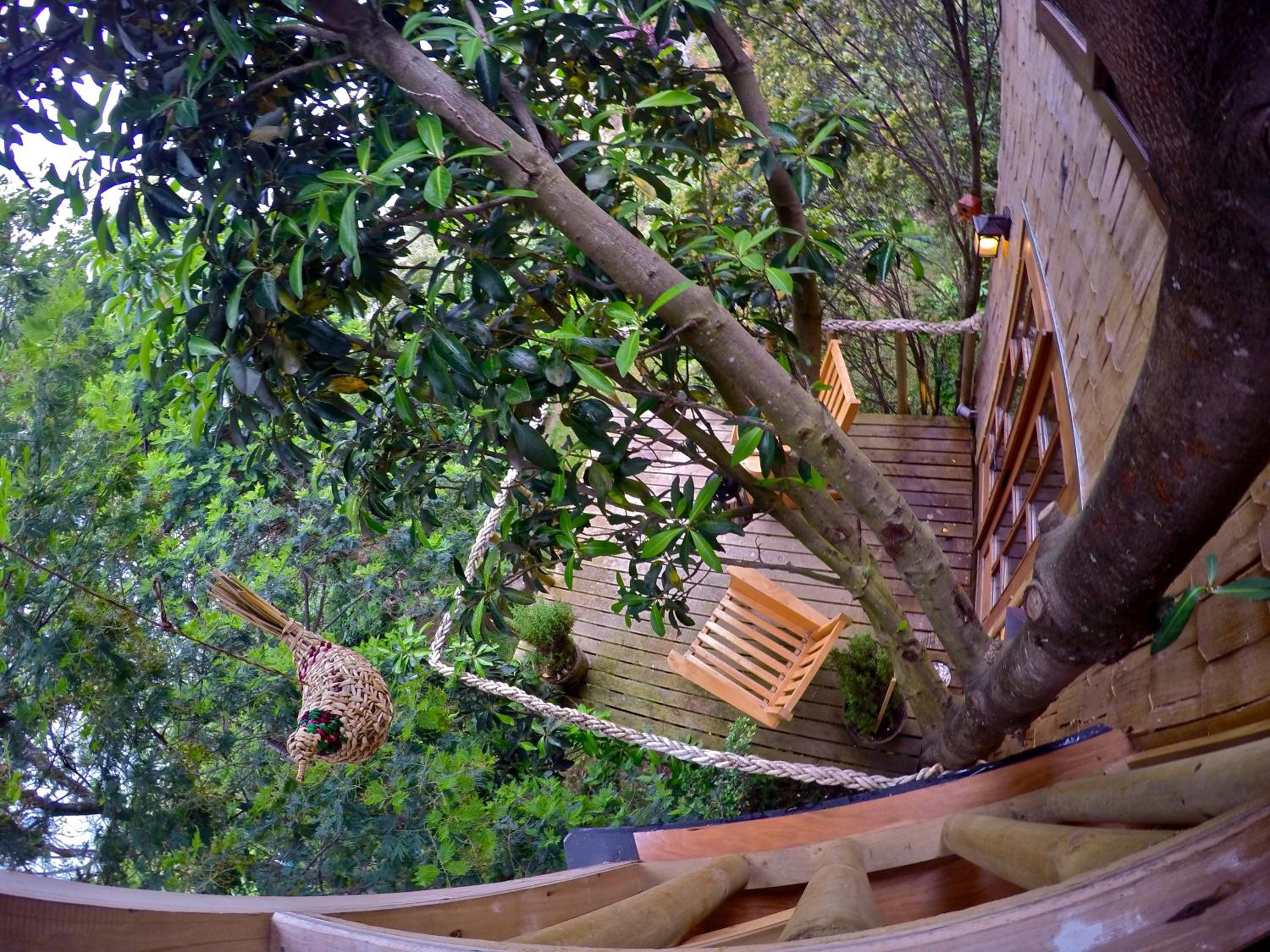 La Casa Del Árbol De Chiloé