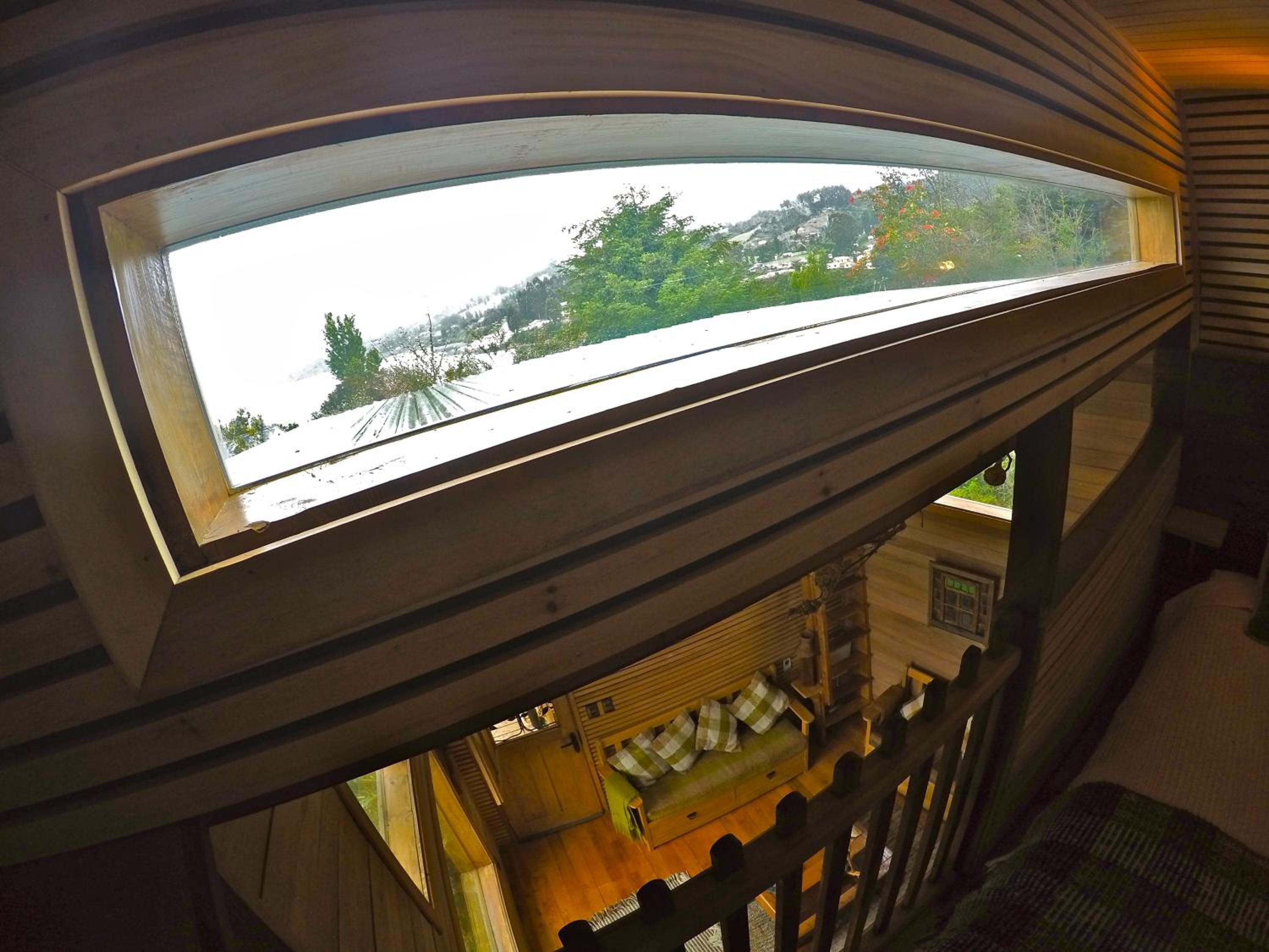 La Casa Del Árbol De Chiloé