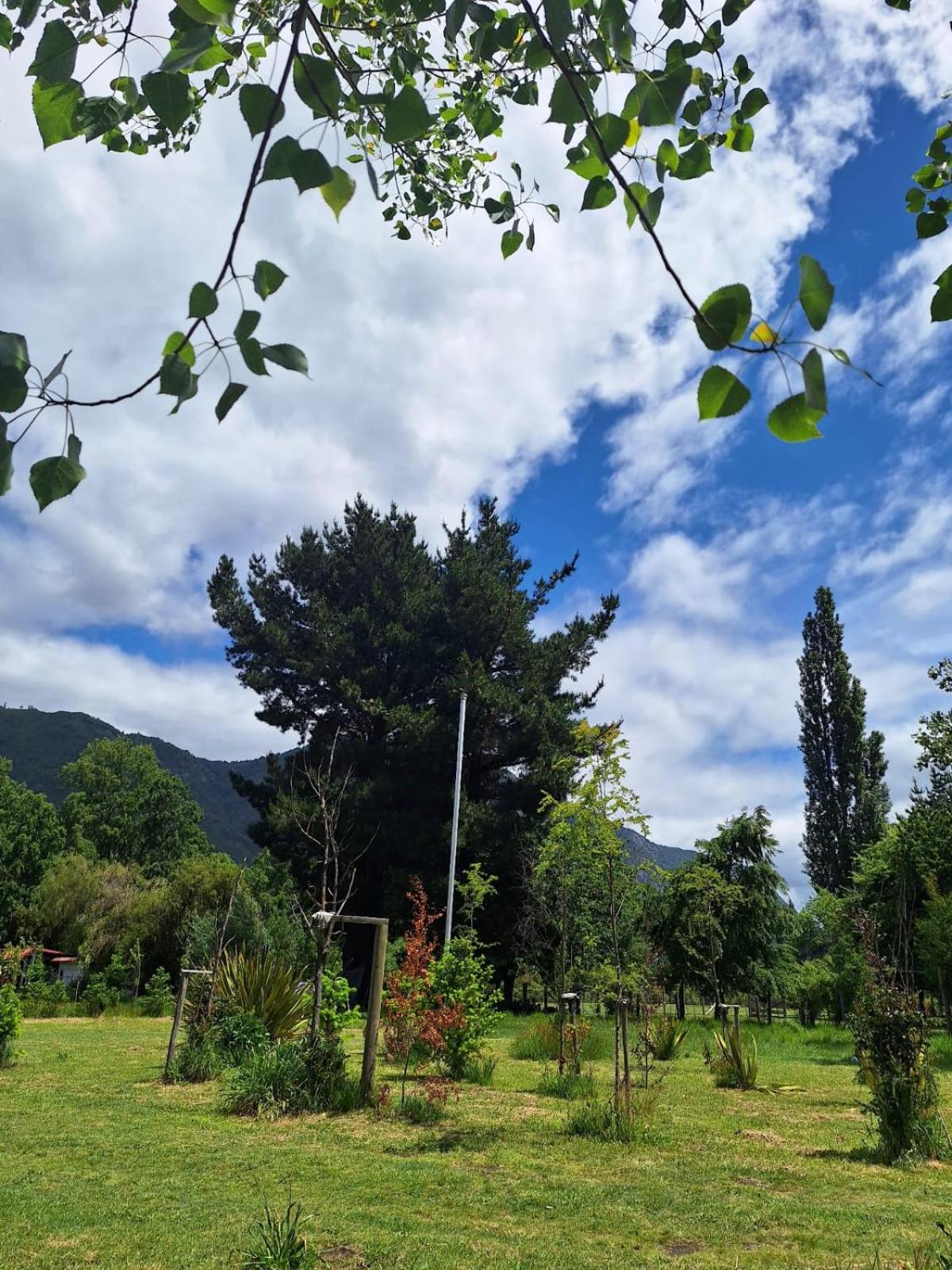 Cabañas Trabun Melipeuco