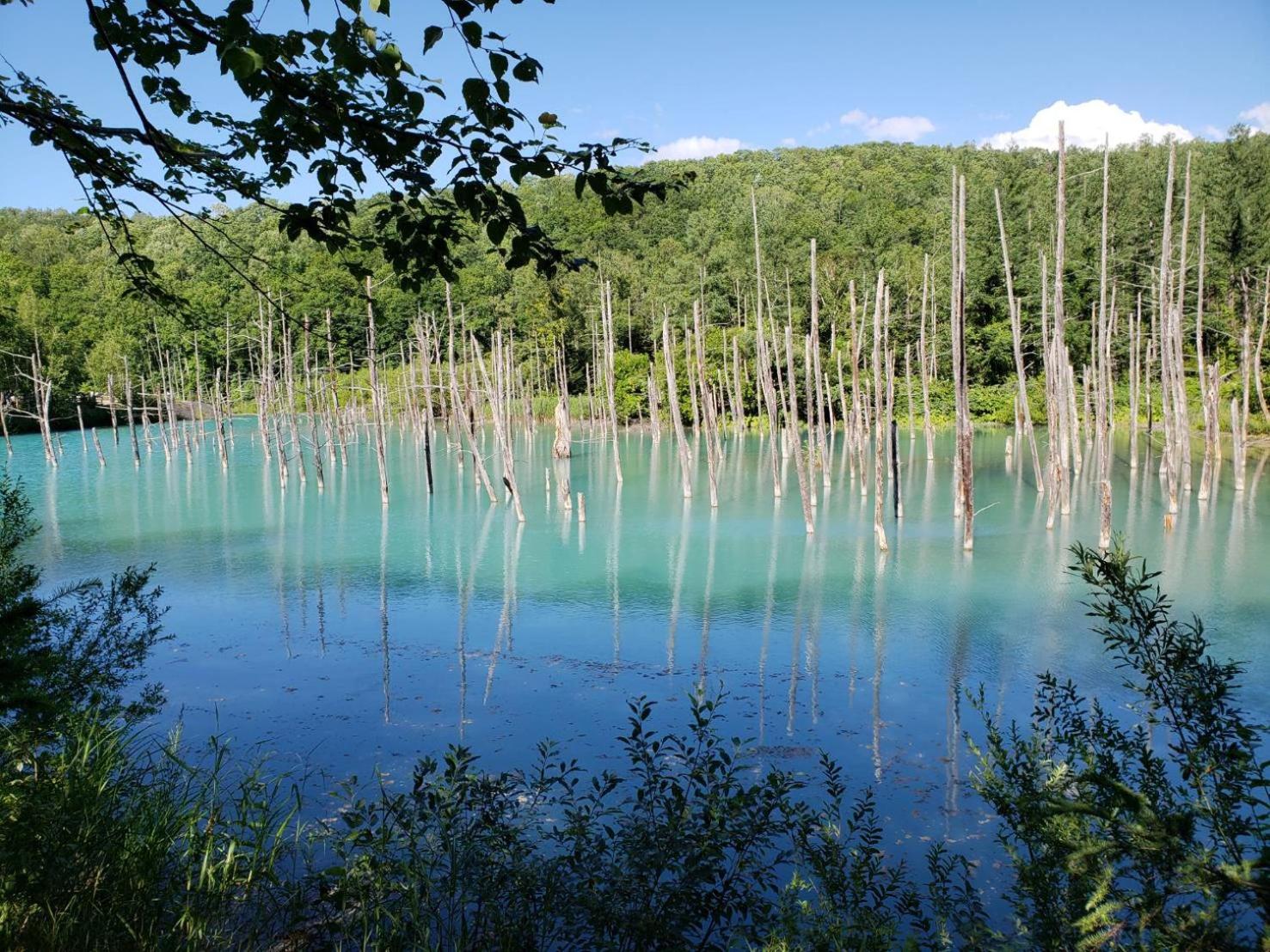 furano Hokuseisanso I