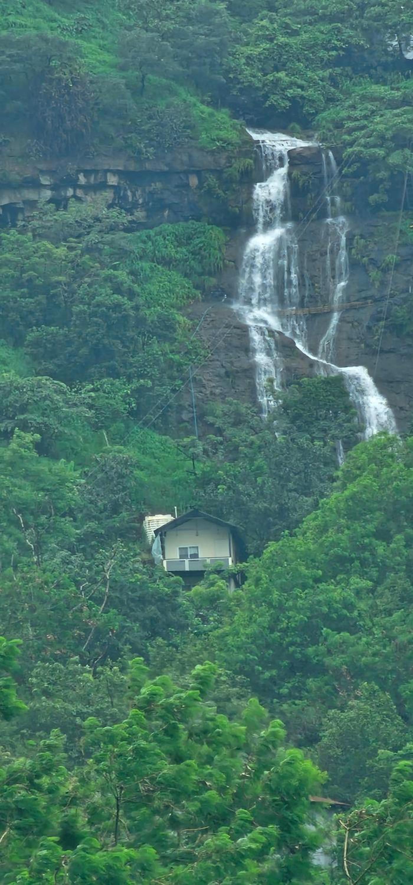 Forest Den