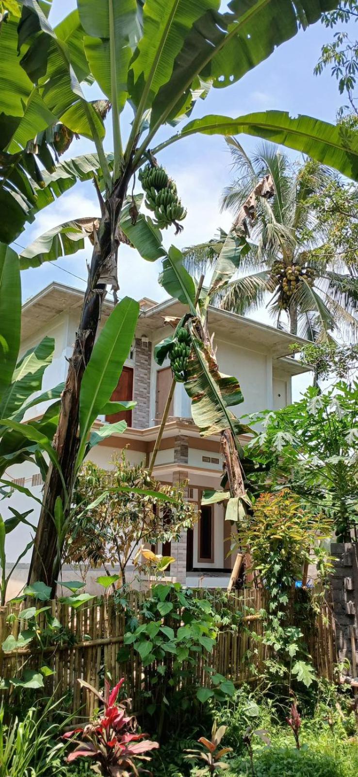 G Lova House -Tetebatu view 4