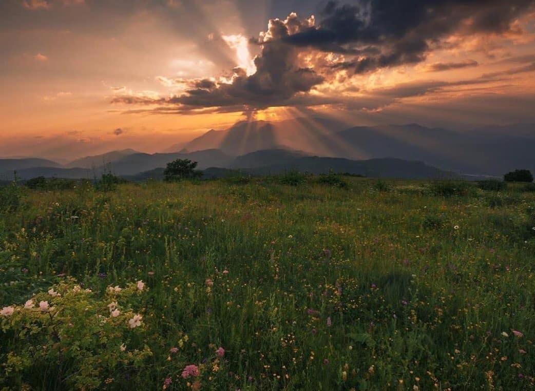 Mravaldzali