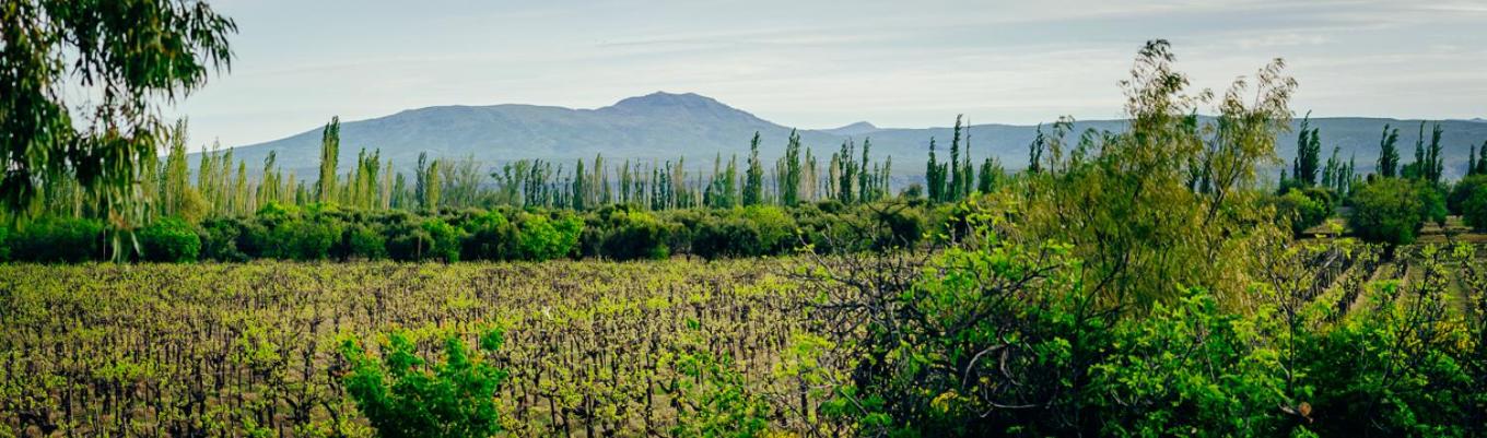 Finca La Encantada