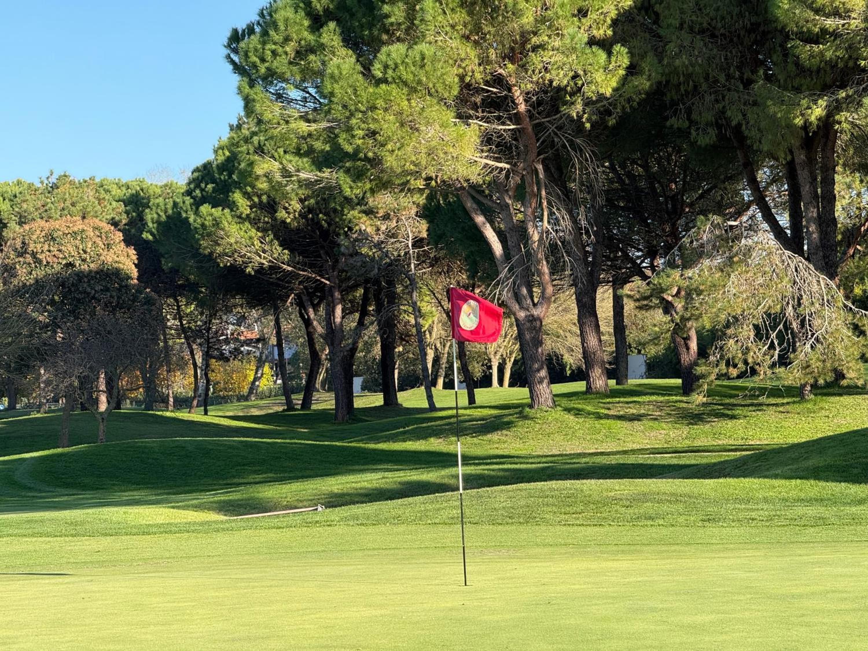 Photo 44