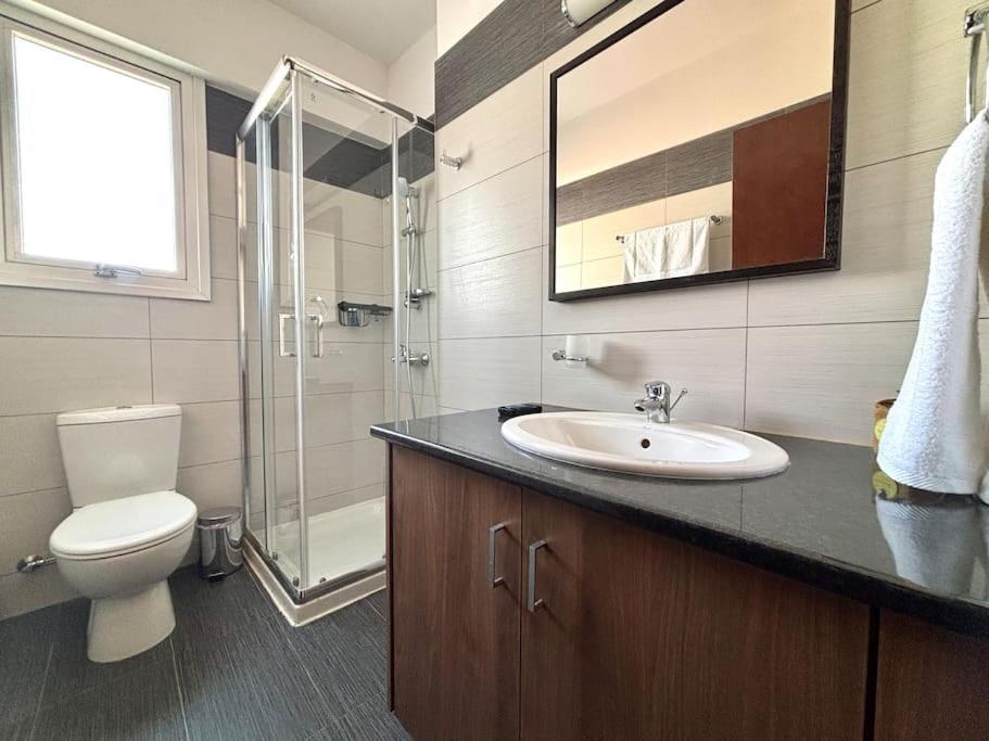 One Bedroom Flat in Central Nicosia