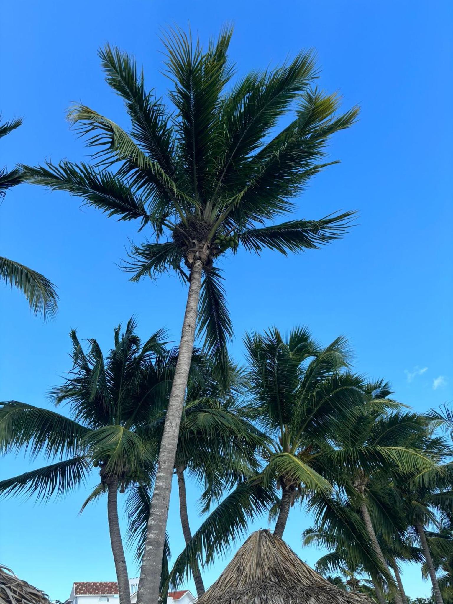 Apartamento Cadaques Bayahibe