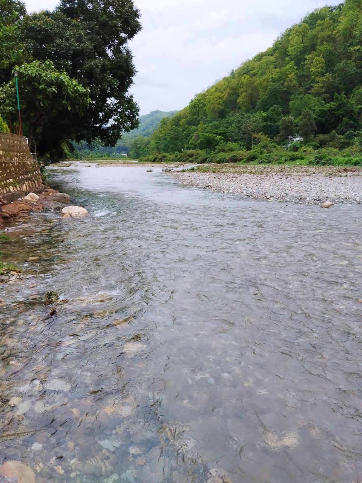 CorbettRivervalleyHomestay