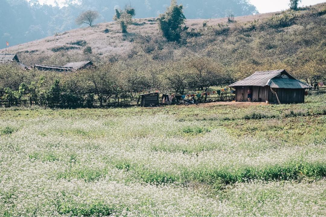 AIEM Moc Chau