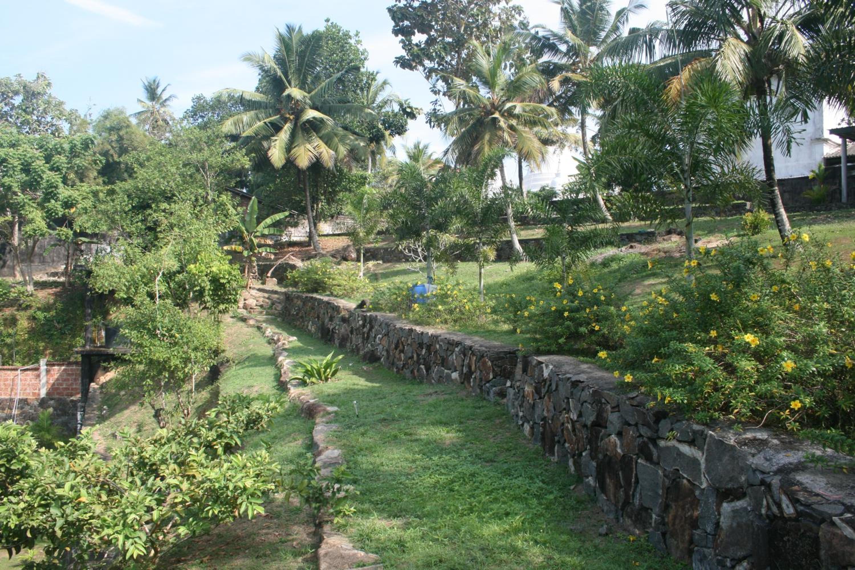 Photo 41