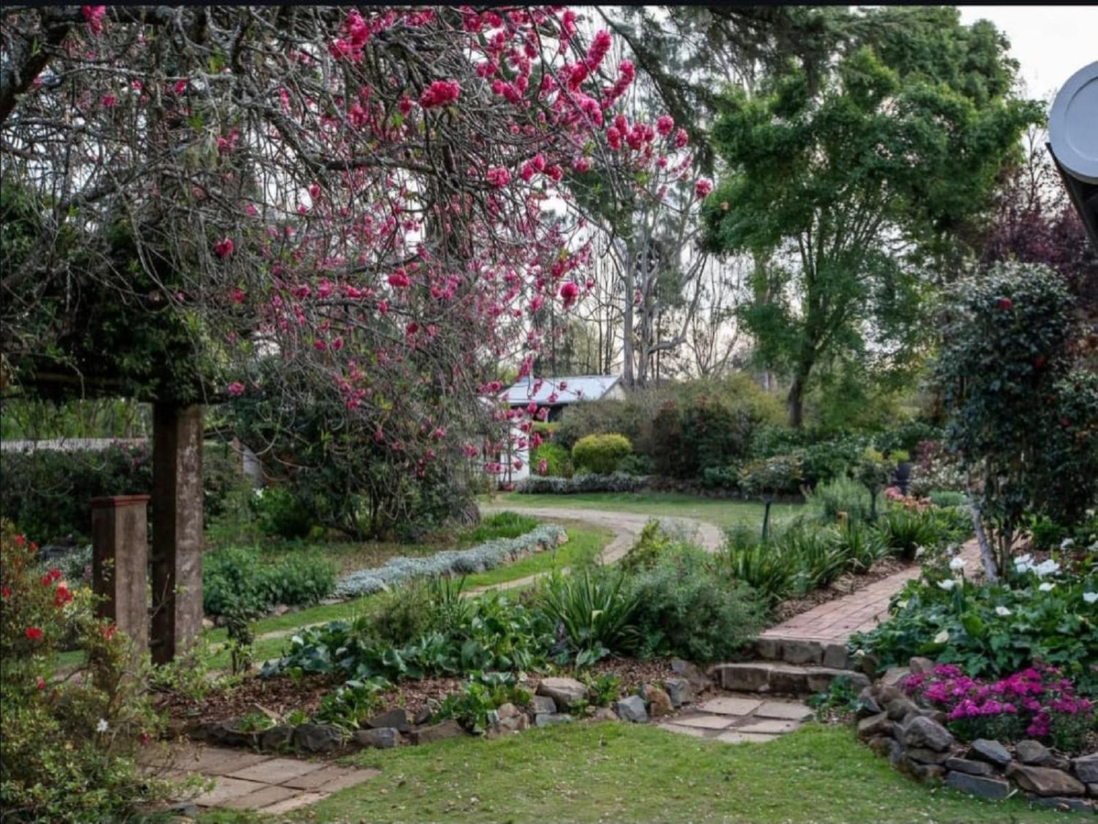 Hydrangea Guest House