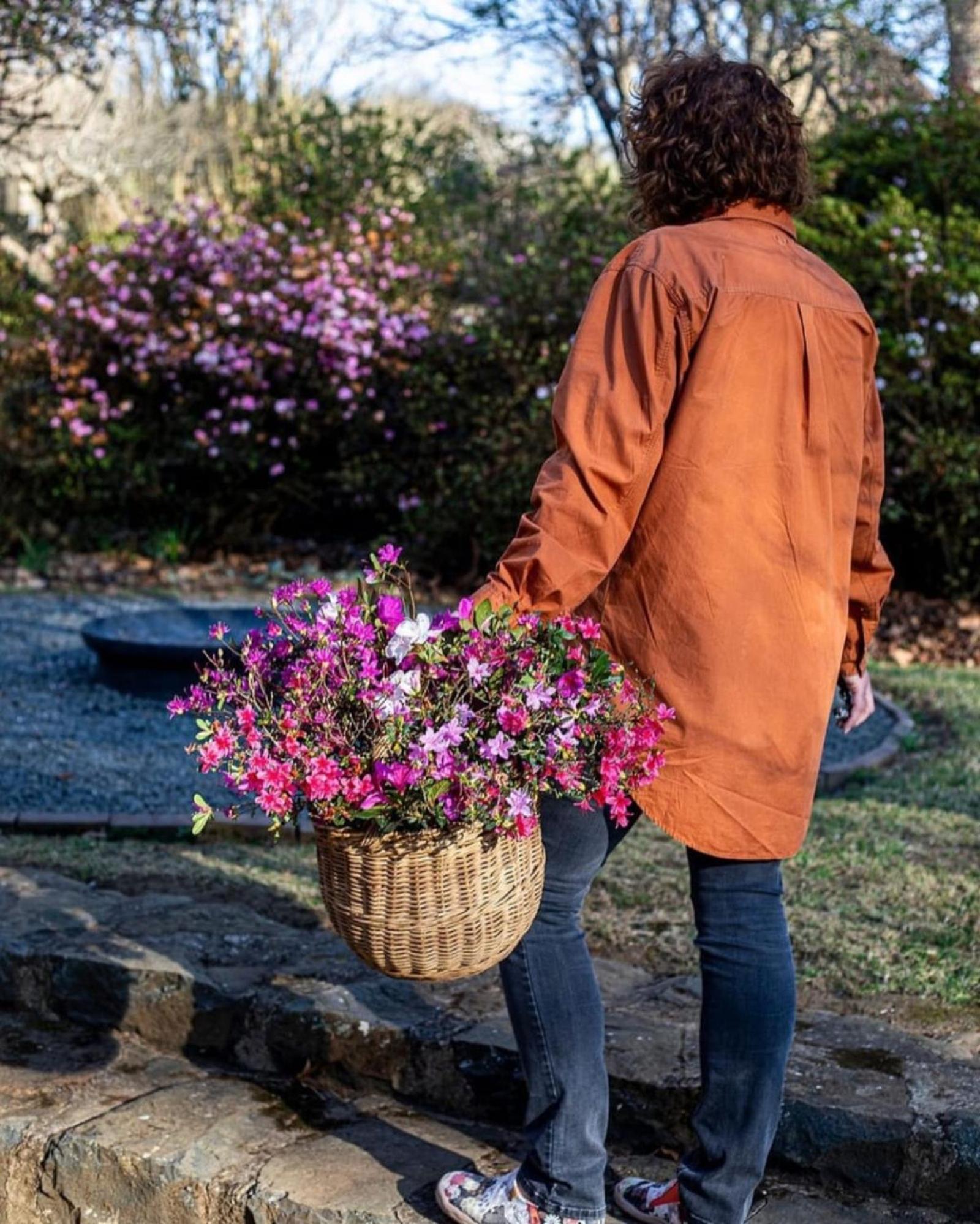 Hydrangea Guest House