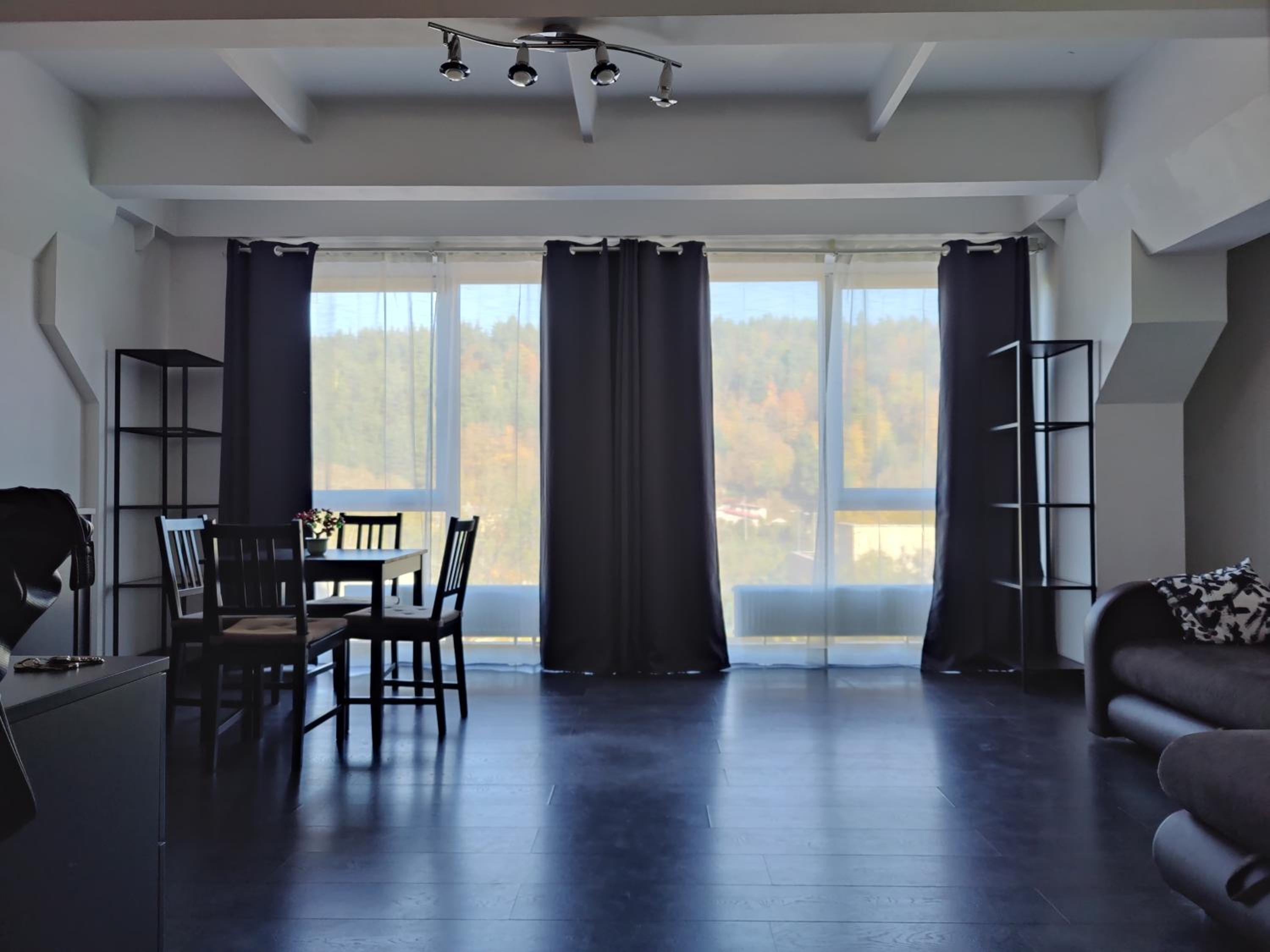 Kaukysa Loft view 3