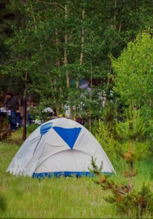 ReziPava Camping