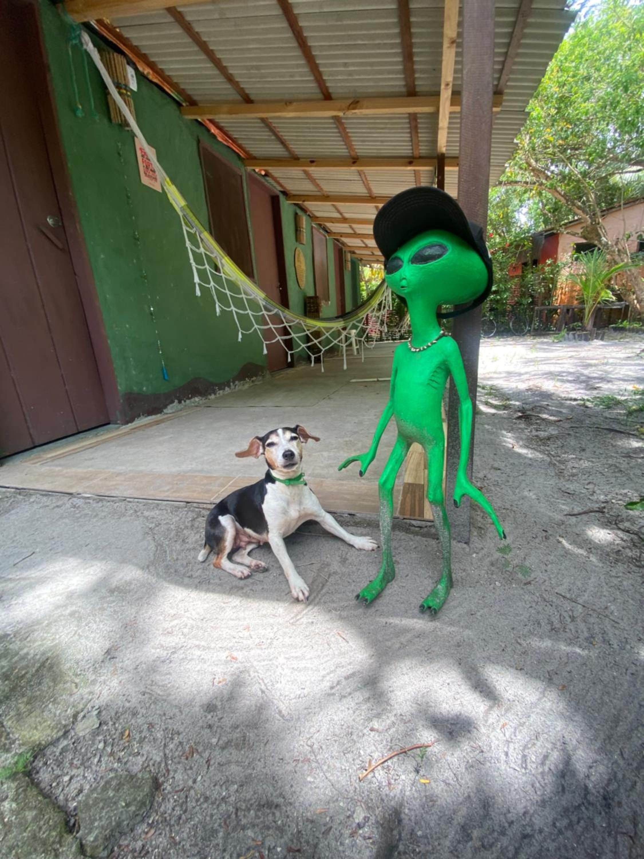 human