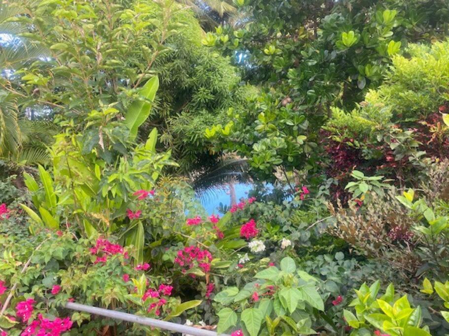 Villa du bonheur avec grand jardin et rivière calme nature Petit-Bourg 7 personnes maximum view 4