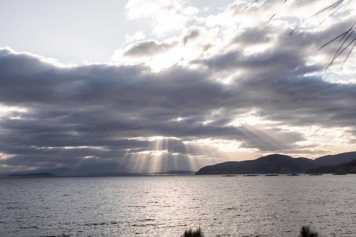 Siren Tasmania