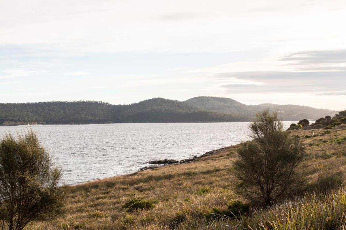 Siren Tasmania