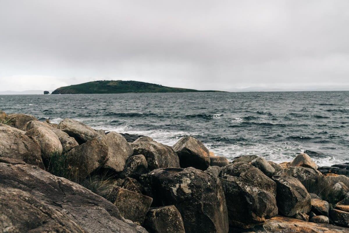 Siren Tasmania