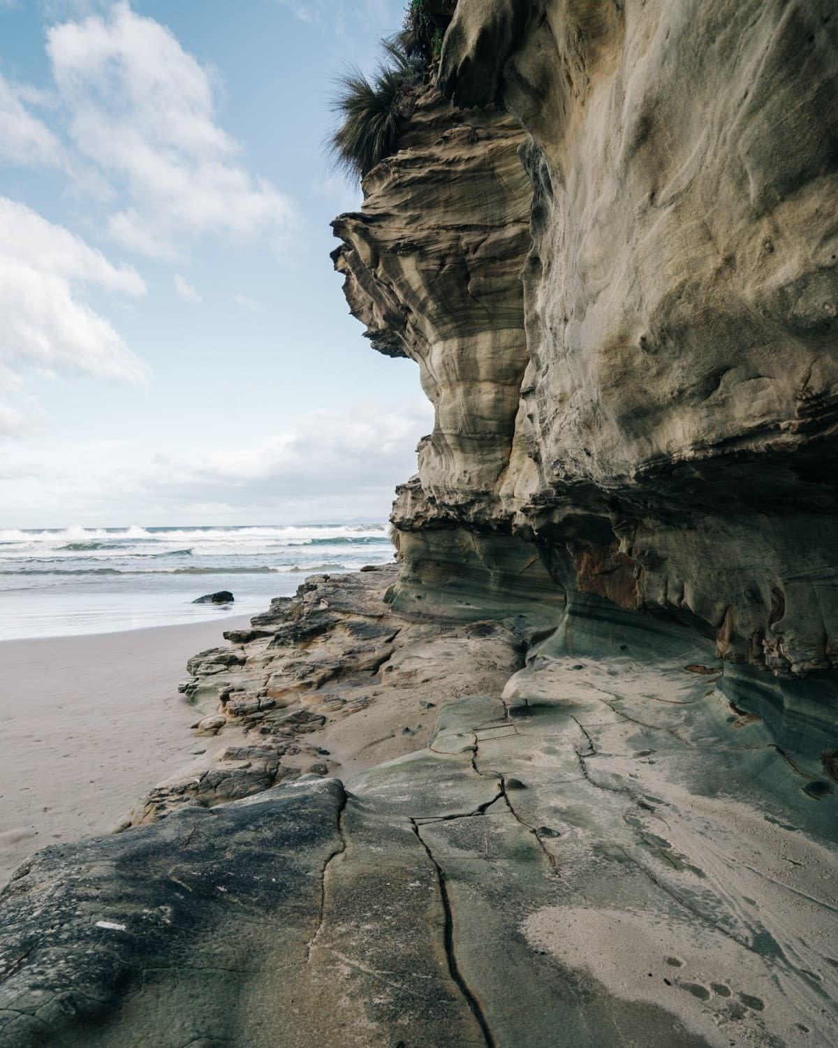Siren Tasmania